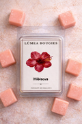 Fondant parfumé Baies Tropicales & Hibiscus 65 g fabriqué au Québec
