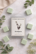 Fondant parfumé Eucalyptus frais 65 g fabriqué au Québec